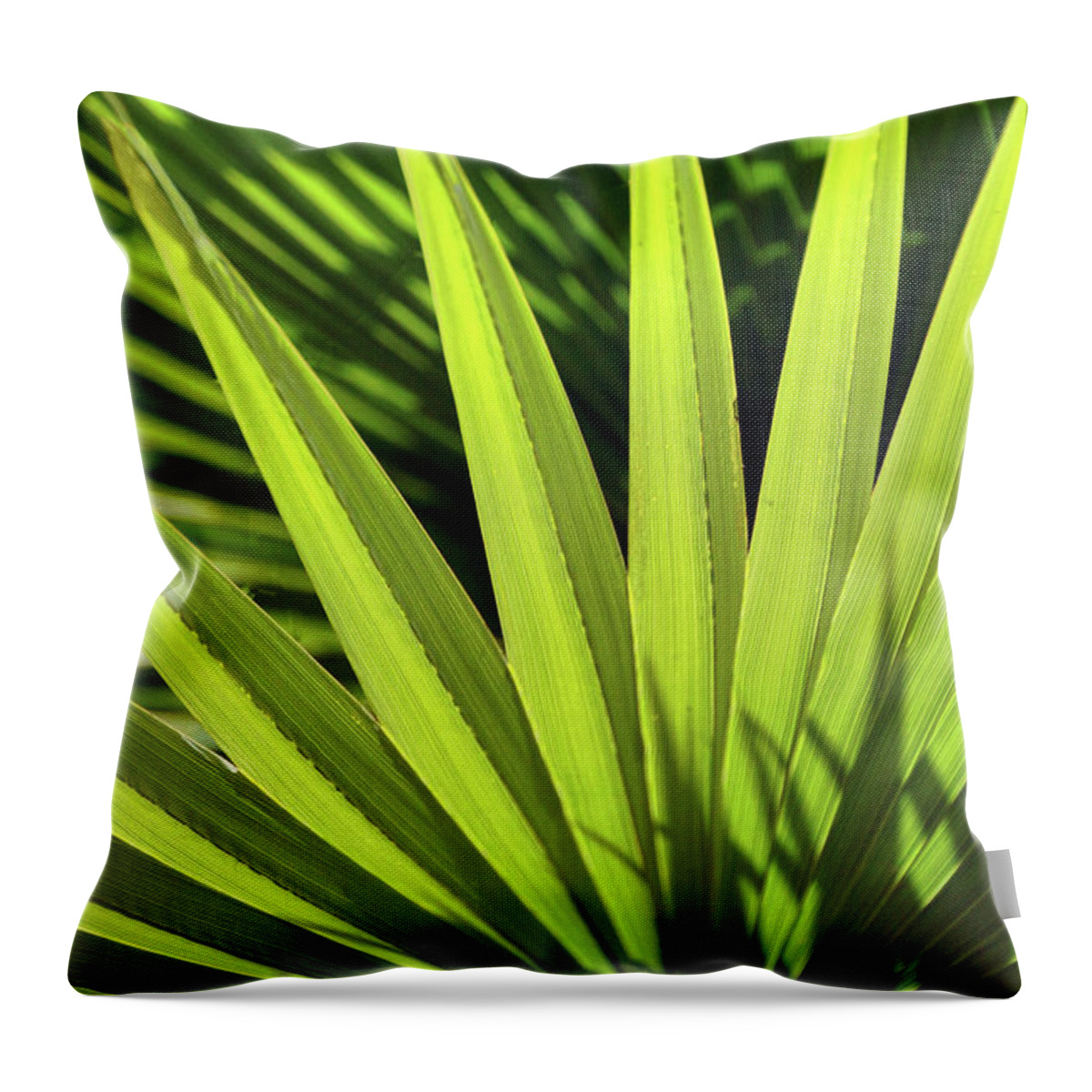 Hesper Palm Throw Pillow featuring the photograph Palm Portrait II by Leda Robertson