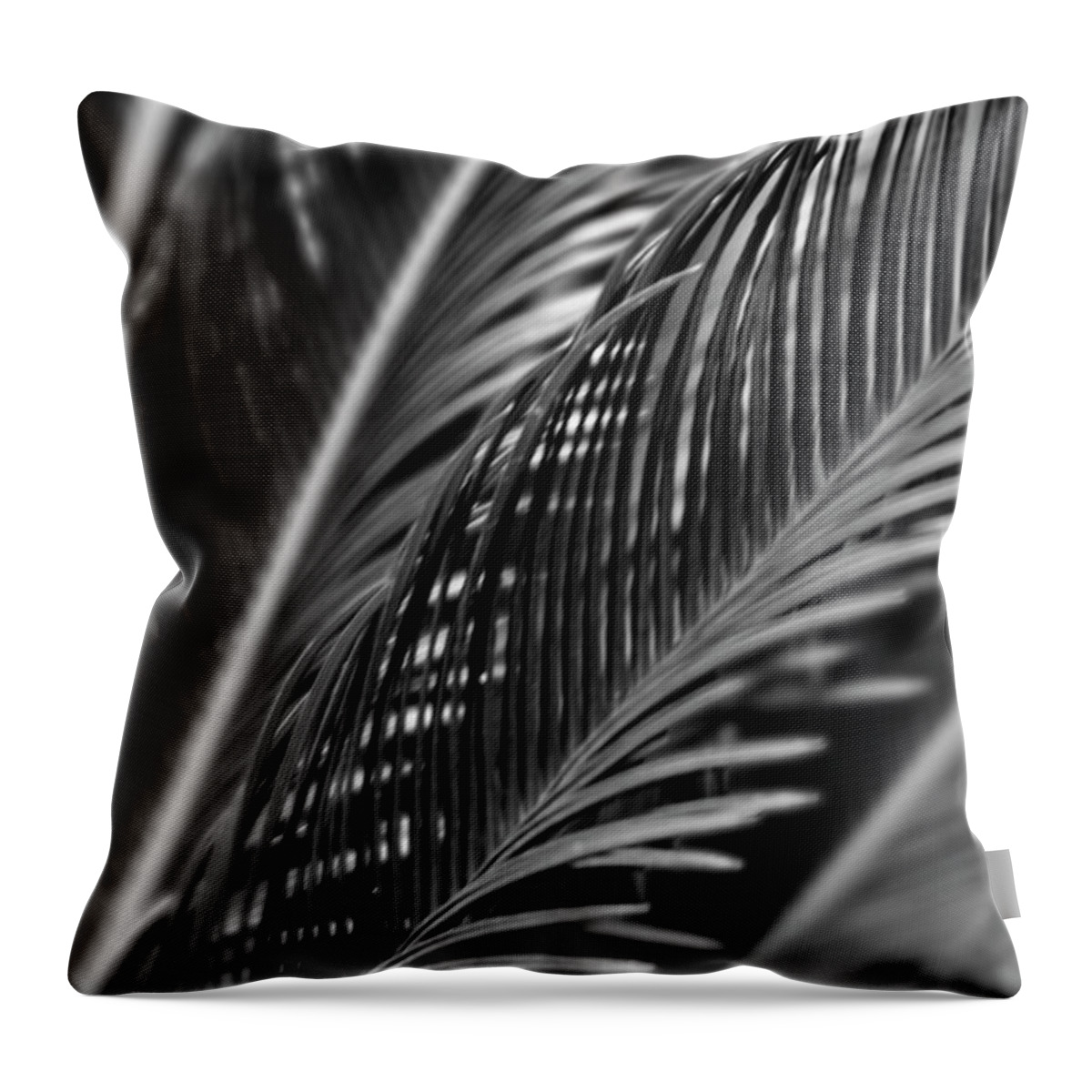 Flores Throw Pillow featuring the photograph Palm by Silvia Marcoschamer