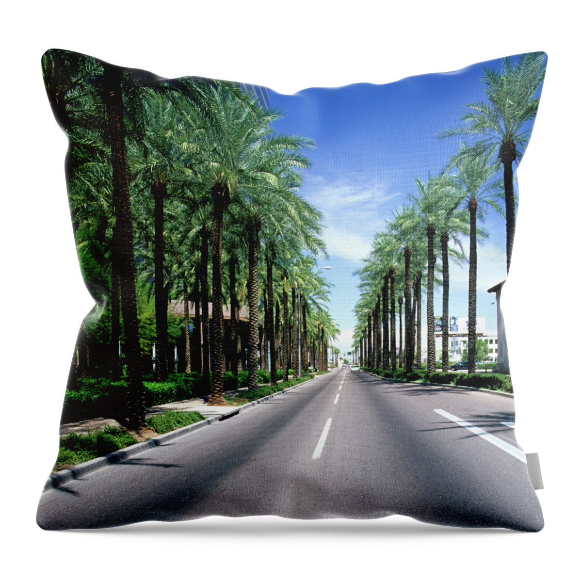 Scenics Throw Pillow featuring the photograph Palm Tree Lined Street, Phoenix, Arizona by Hisham Ibrahim