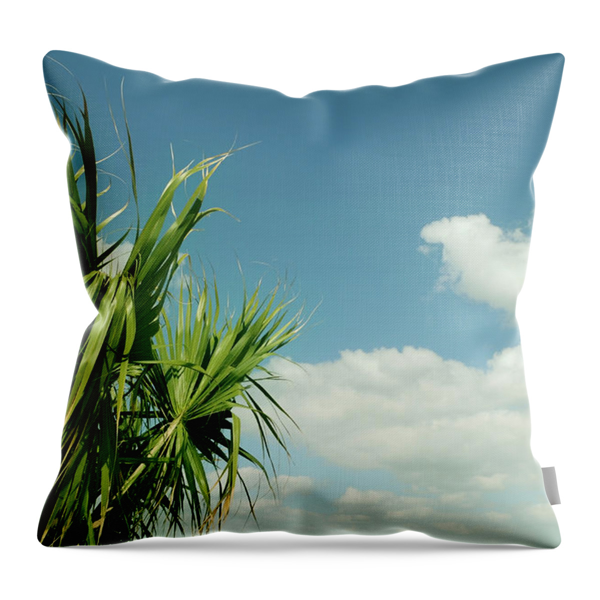 Scenics Throw Pillow featuring the photograph Palms And Clouds by Sstop