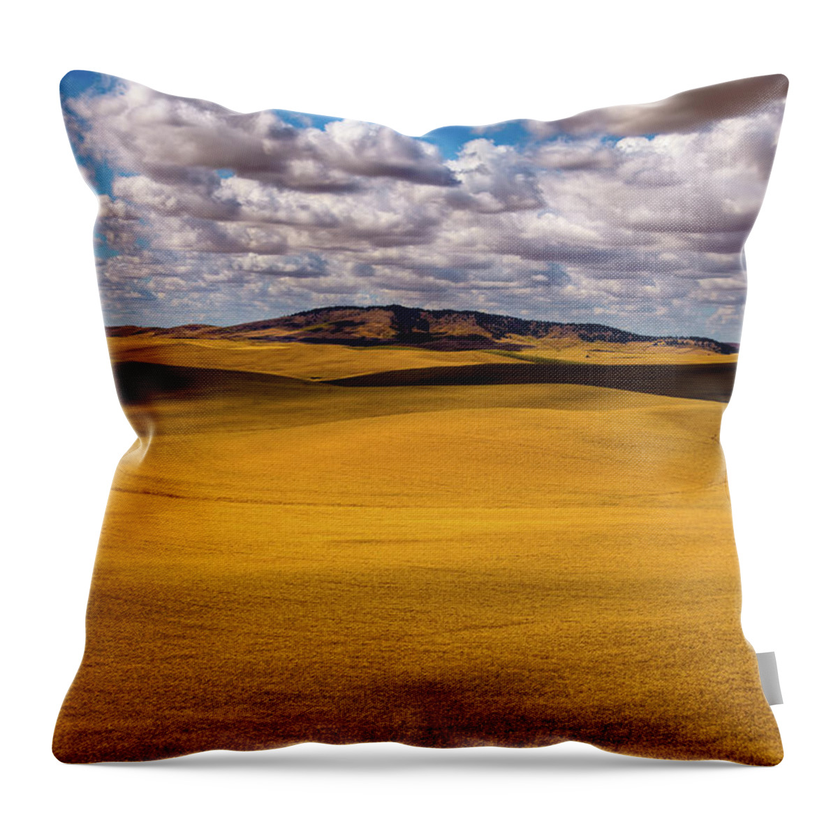 Hdr Throw Pillow featuring the photograph Palouse Shadows by David Patterson