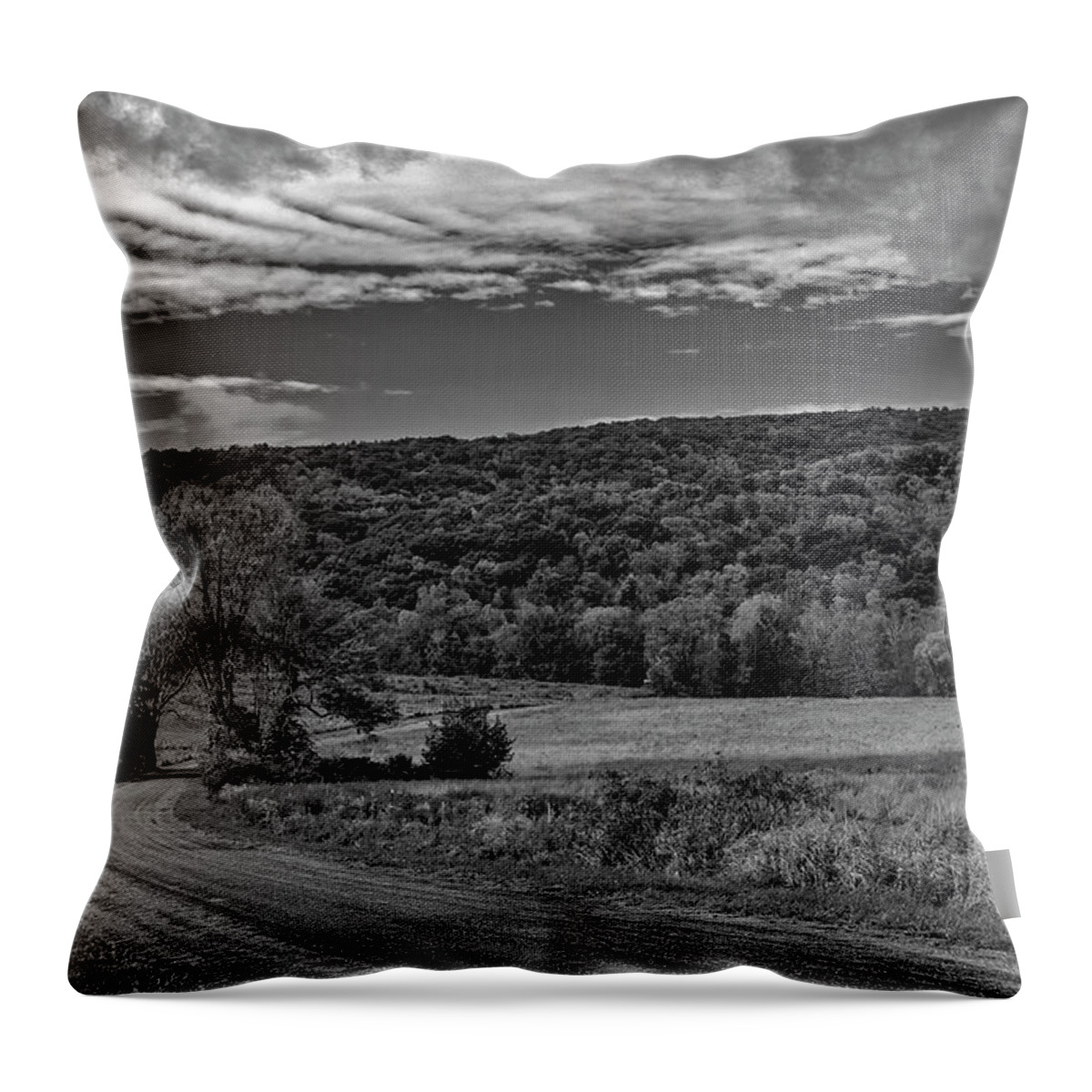 Hudson Valley Throw Pillow featuring the photograph Paltz Point Mohonk Dirt Road BW by Susan Candelario