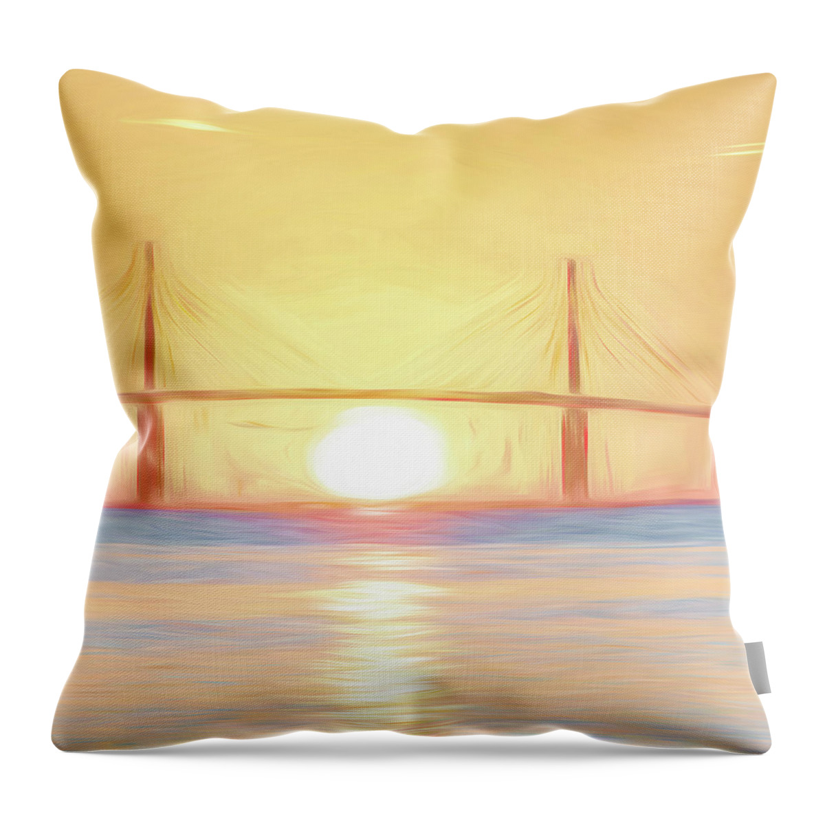 30 Wide Throw Pillow featuring the photograph Panel 2 30 wide, 29 high by Steven Sparks
