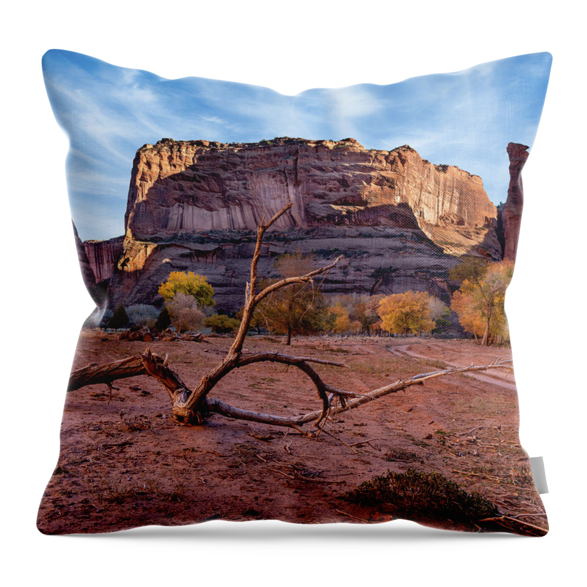 Canyon De Chelly Throw Pillow featuring the photograph Parched and Alone 1803 by Kenneth Johnson