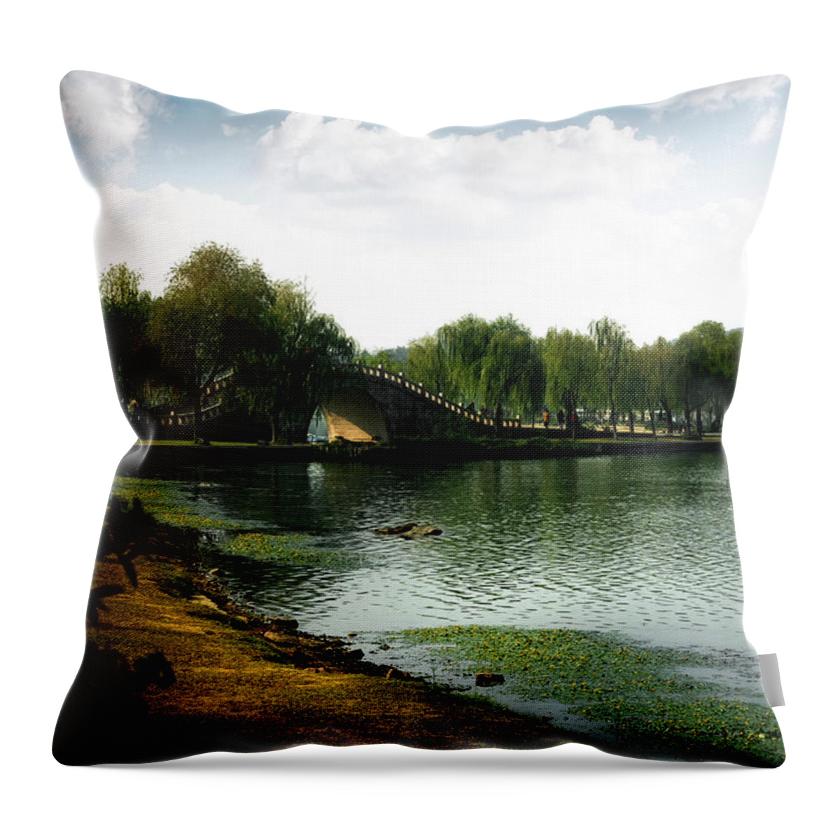 Wuxi Throw Pillow featuring the photograph Park at Wuxi by Kathryn McBride