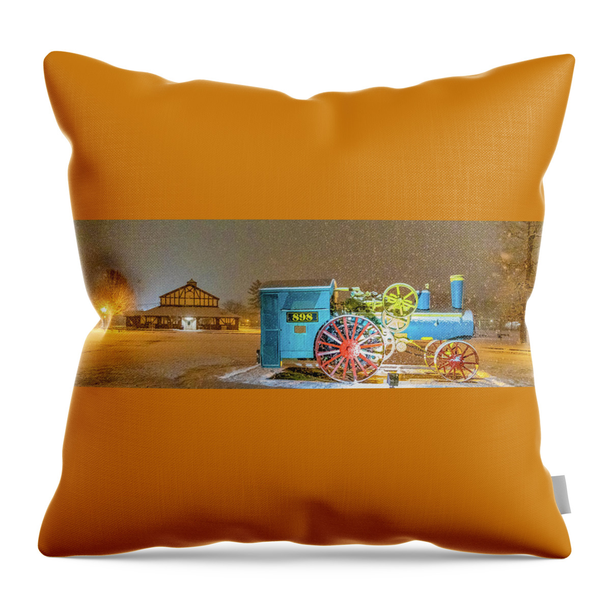 Tree Throw Pillow featuring the photograph Parkersburg City Park by Jonny D