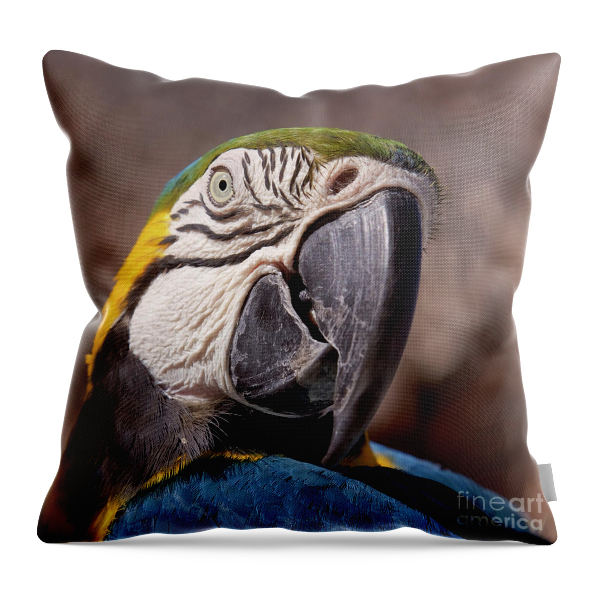 Parrot's Head Throw Pillow featuring the photograph Parrot portrait by Tatiana Travelways