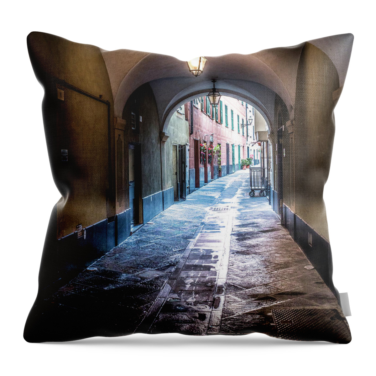 Italy Throw Pillow featuring the photograph Passage by Izet Kapetanovic