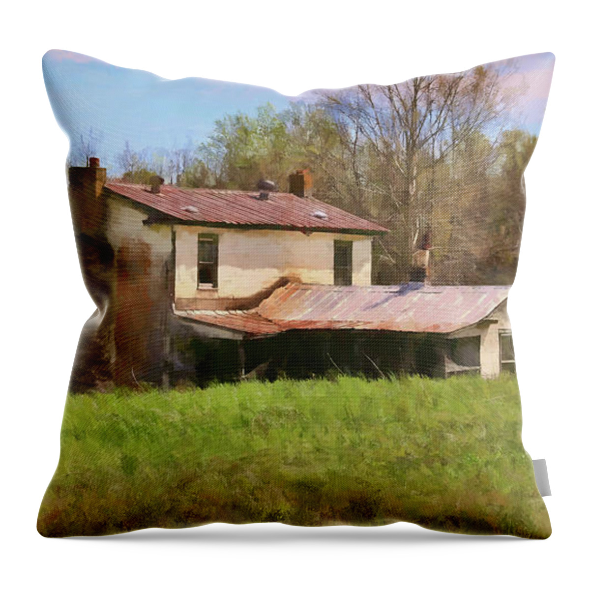 House Throw Pillow featuring the photograph Past Her Prime by Ola Allen