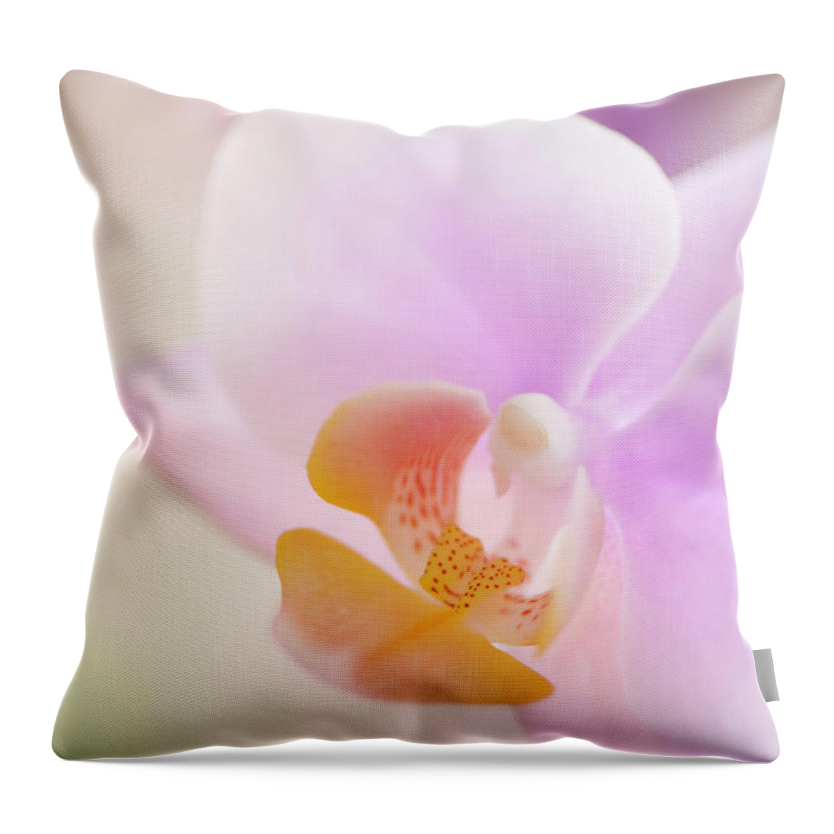 Rockville Throw Pillow featuring the photograph Pastel Pink Phalaenopsis Flower Close-up by Maria Mosolova