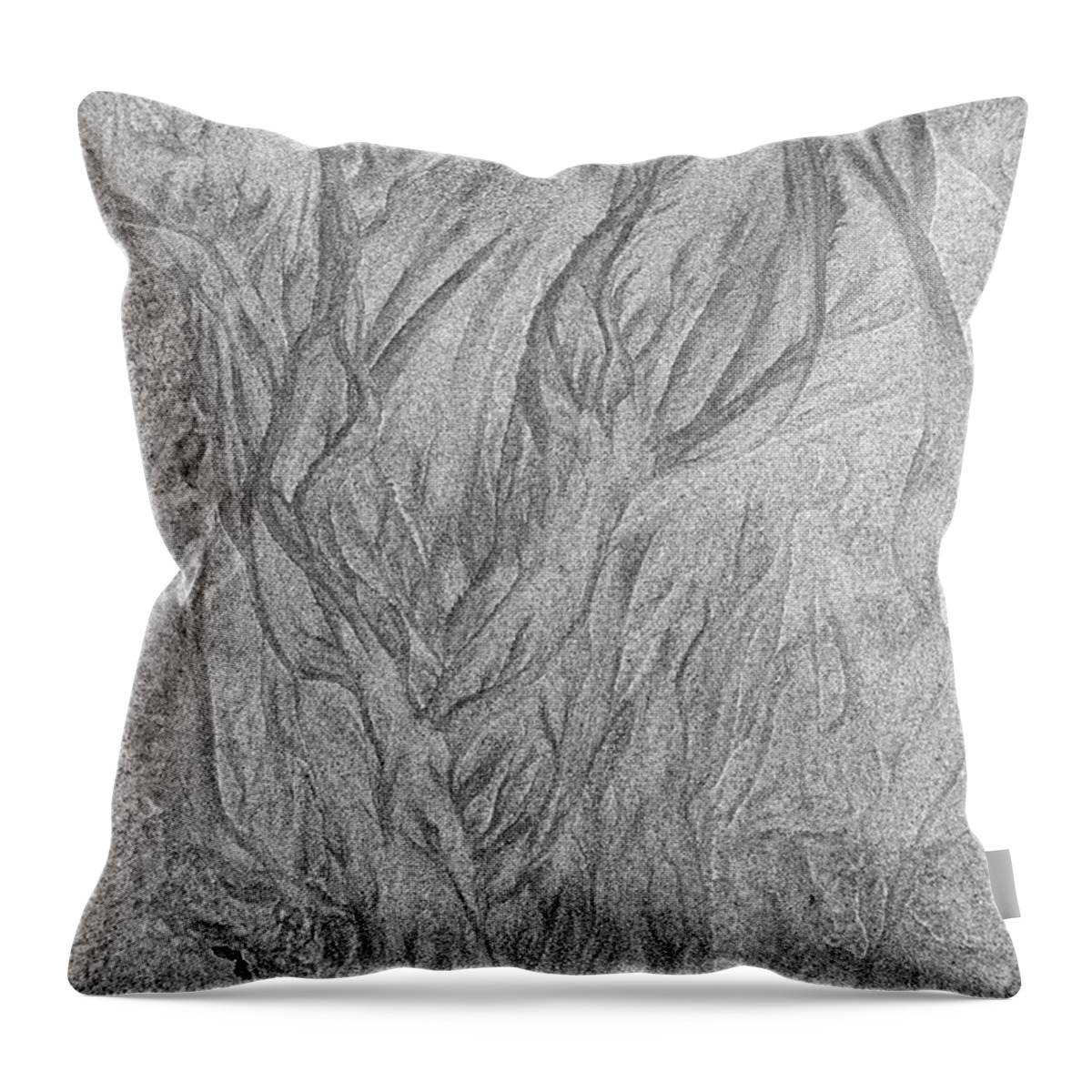 Abstract Throw Pillow featuring the photograph Patterns left by the receding water in the sand of a beach - monochrome by Intensivelight