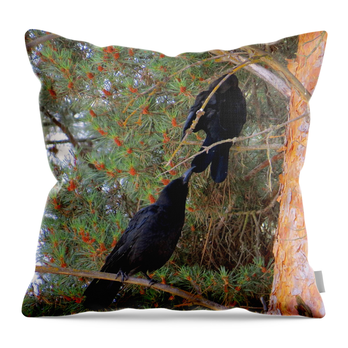 Corvus Brachyrhynchos Throw Pillow featuring the photograph Pay attention to me by Jean Evans