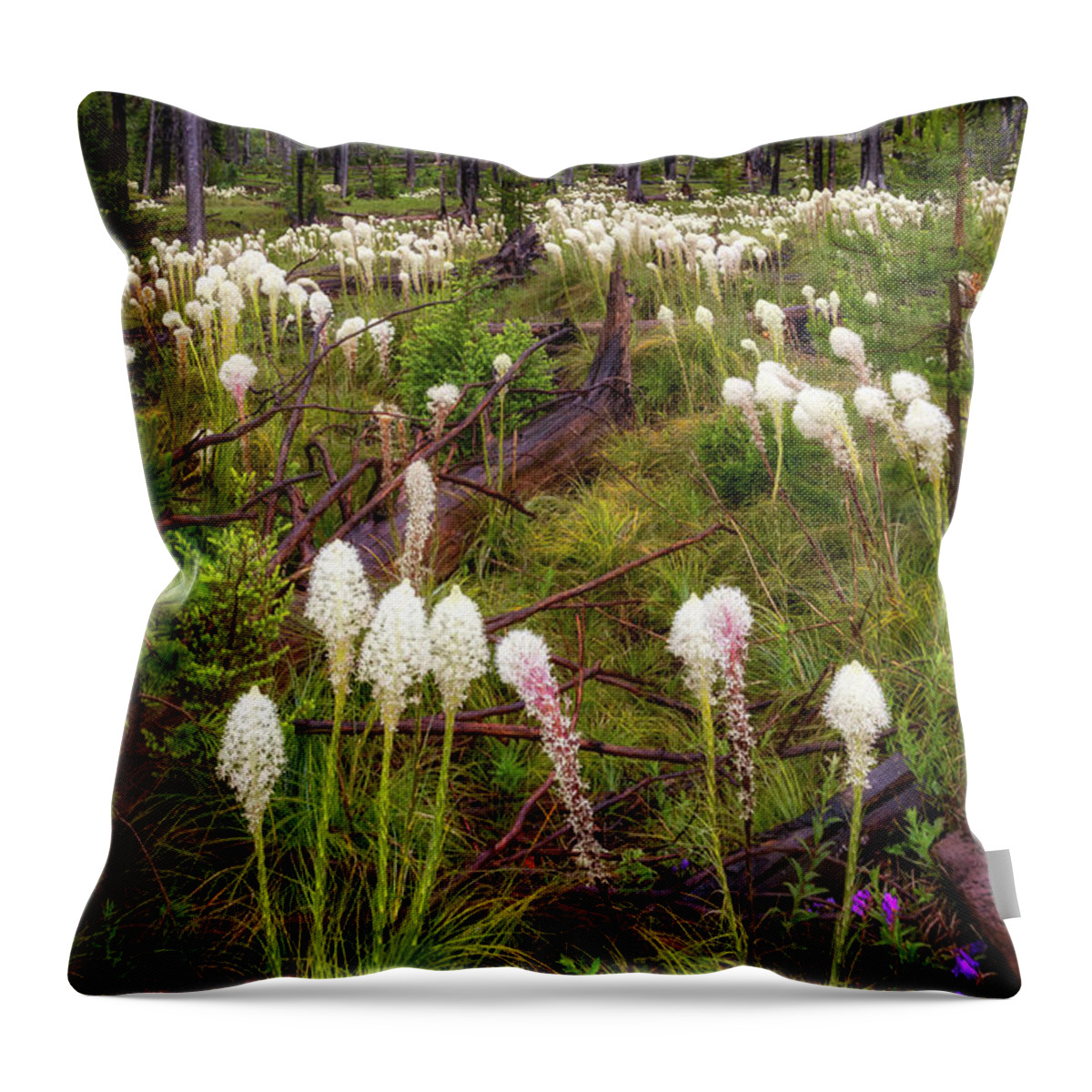 Flowers Throw Pillow featuring the photograph PCT Bear Grass by Cat Connor