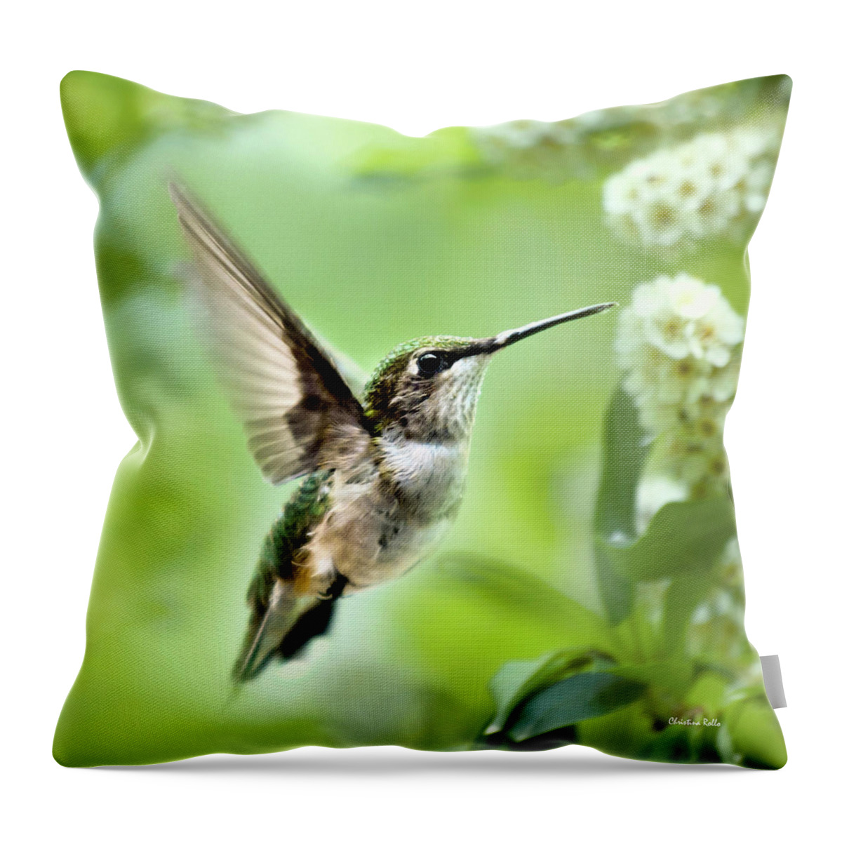 Hummingbirds Throw Pillow featuring the photograph Peaceful Love Hummingbird Square by Christina Rollo