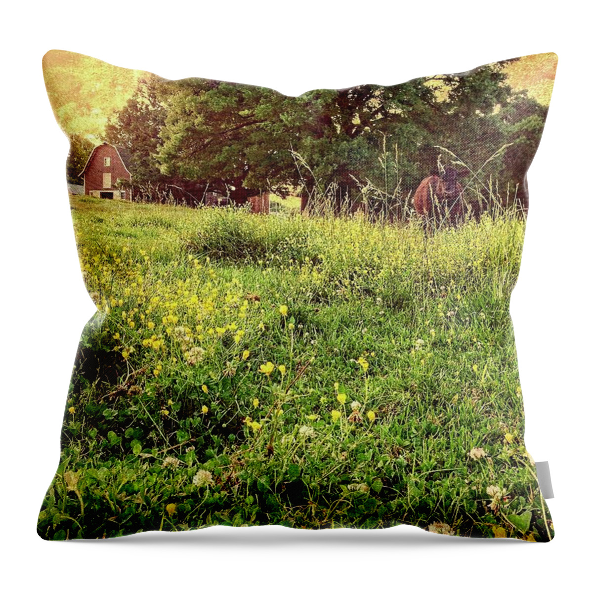 Sun Throw Pillow featuring the photograph Peaceful Pastoral Perspective by Carol Whaley Addassi