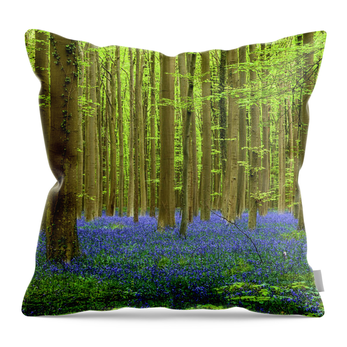 Bluebells Throw Pillow featuring the photograph Peaceful sight by Jorge Maia