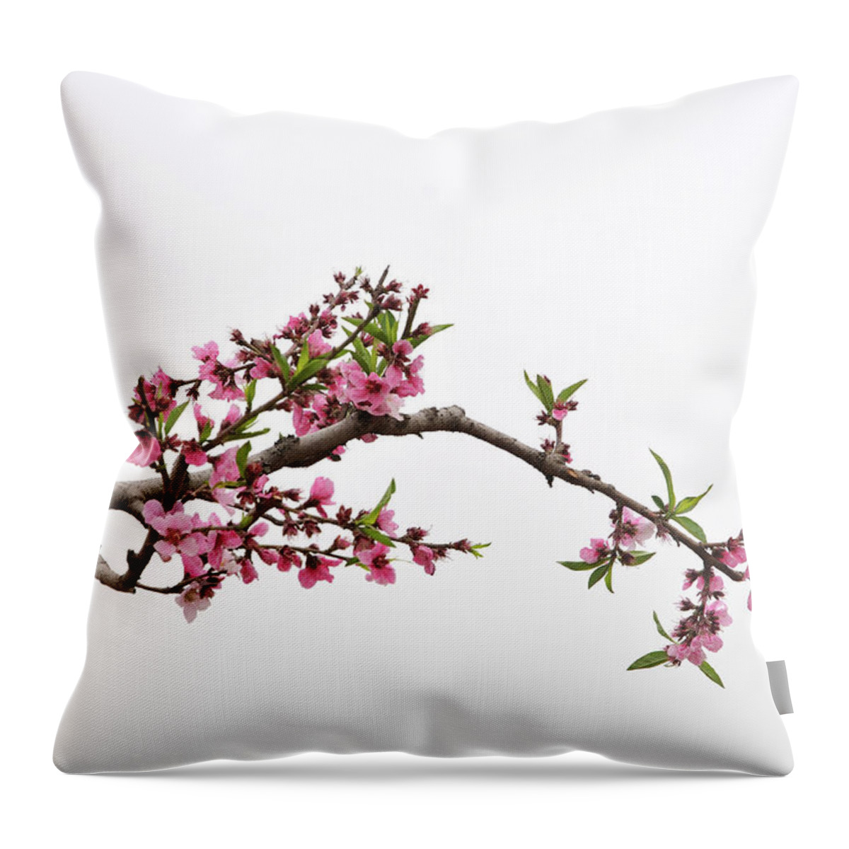 Season Throw Pillow featuring the photograph Peach by Sdlgzps