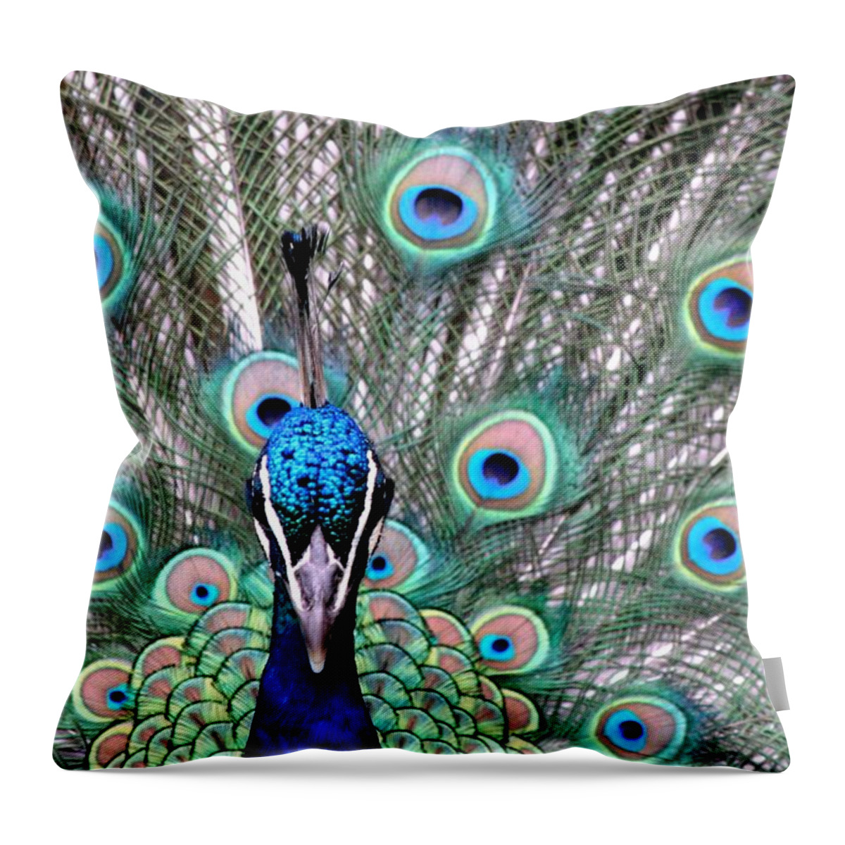 Animal Themes Throw Pillow featuring the photograph Peacock by E J Davies