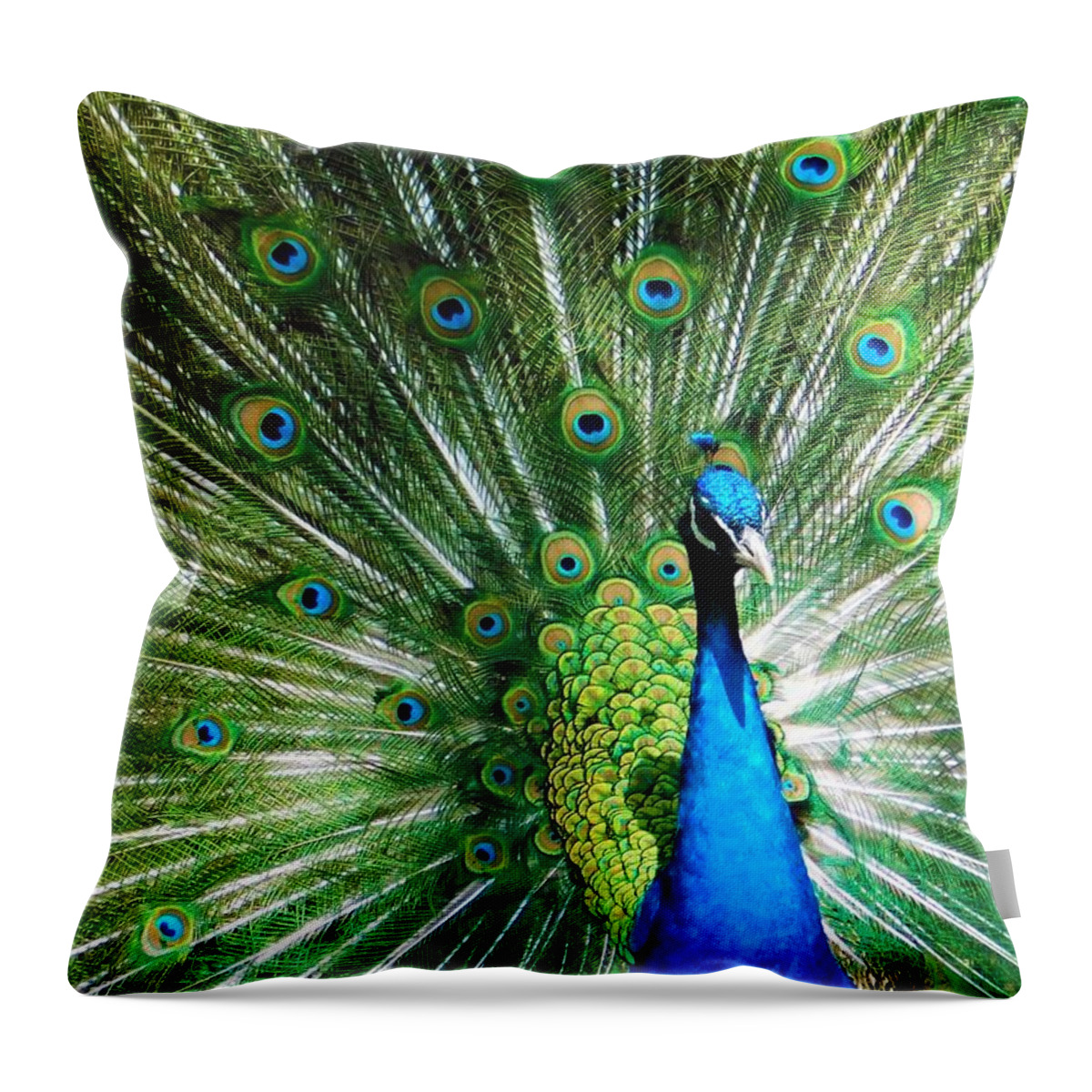 - Peacock Throw Pillow featuring the photograph - Peacock by THERESA Nye