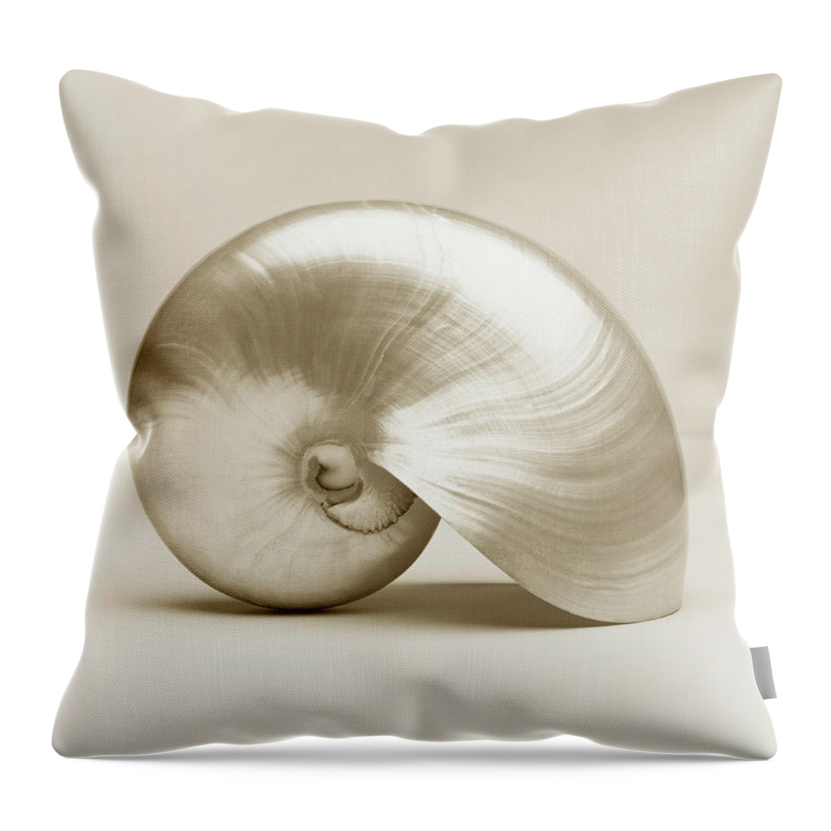 Animal Shell Throw Pillow featuring the photograph Pearlised Nautilus Sea Shell, Close-up by Finn Fox