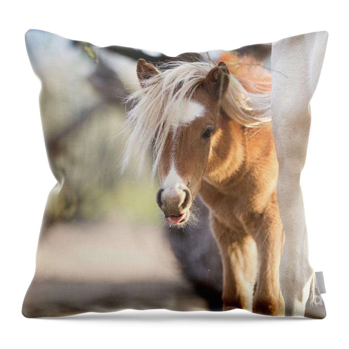 Cute Throw Pillow featuring the photograph Peek-A-Boo 2 by Shannon Hastings