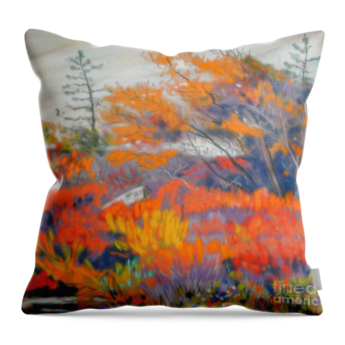 Pastels Throw Pillow featuring the pastel Peggy's cove Barrens by Rae Smith PAC