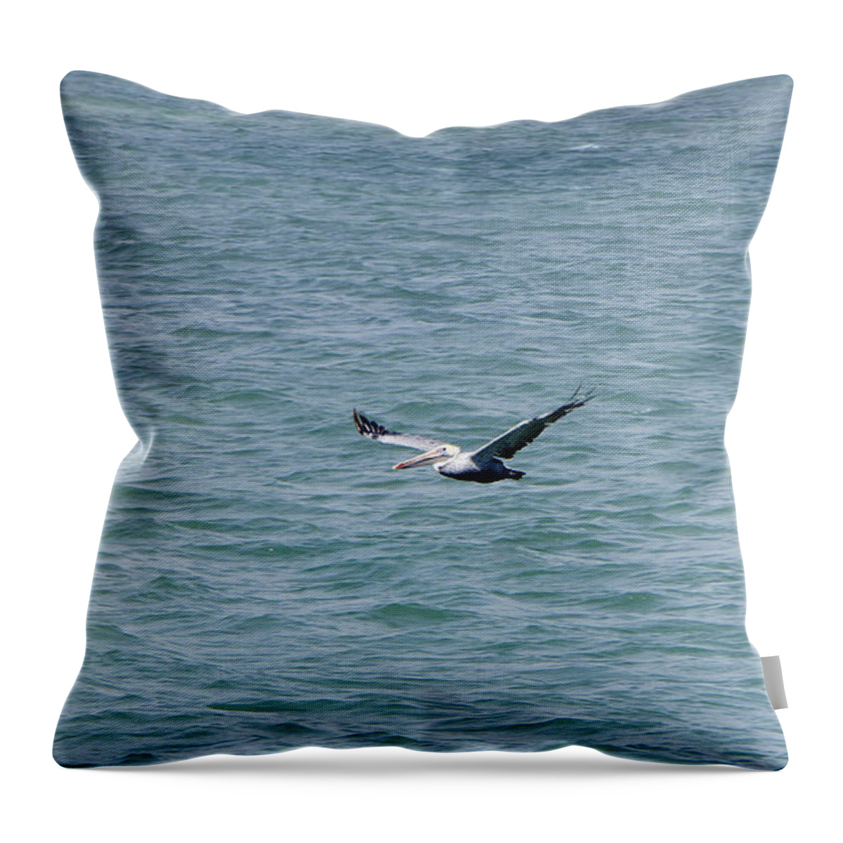 Richard Reeve Throw Pillow featuring the photograph Pelican Flight by Richard Reeve