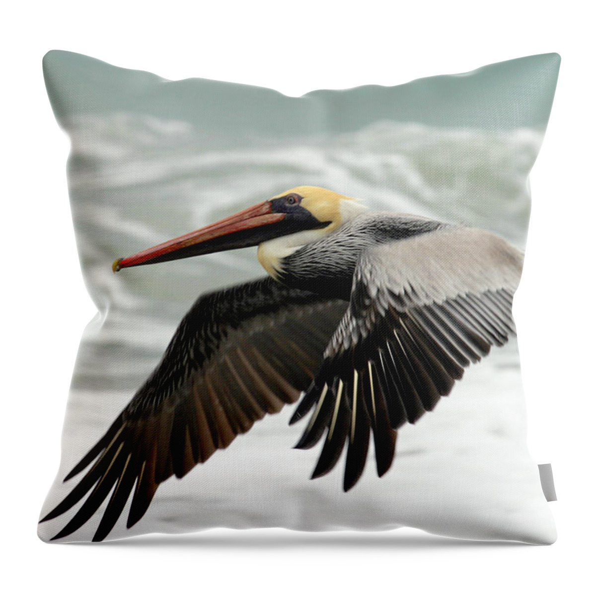 Pelican Throw Pillow featuring the photograph Pelican Glide by Anthony Jones