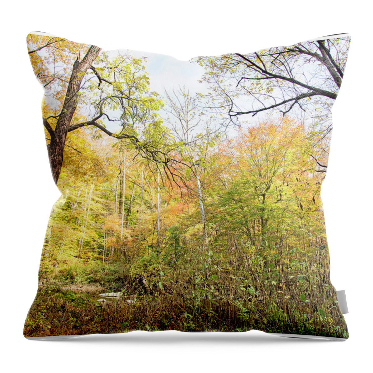 Philadelphia Throw Pillow featuring the photograph Pennypack Woods, Philadelphia Landmark, Autumn by A Macarthur Gurmankin