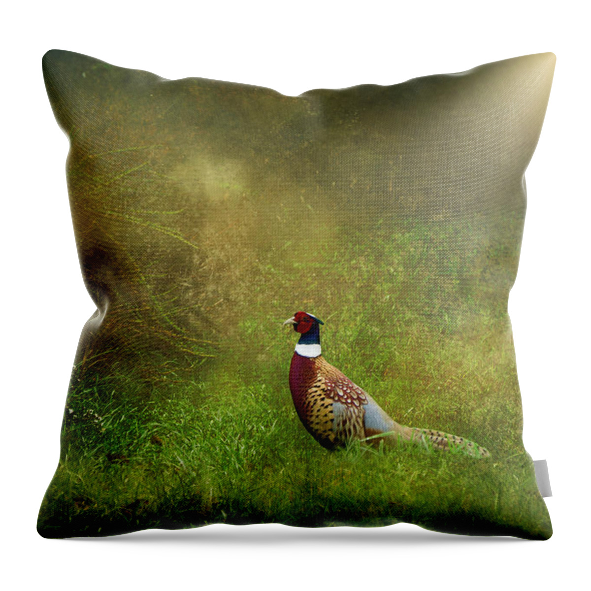 Pheasant Throw Pillow featuring the photograph Pheasant by Randall Allen