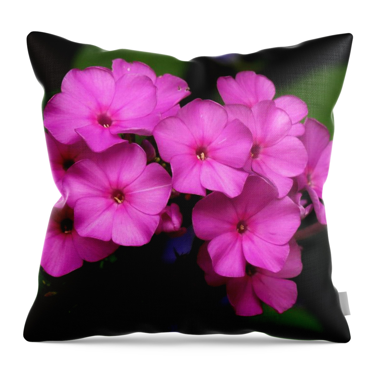 Phlox Throw Pillow featuring the photograph Phlox in Pink by Lori Frisch