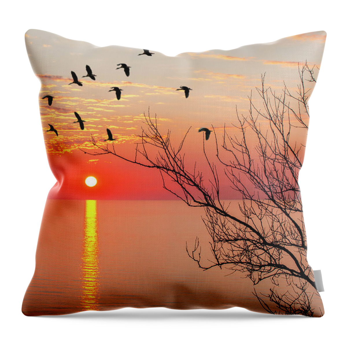 Sun Set Throw Pillow featuring the photograph Sunset by Gouzel -