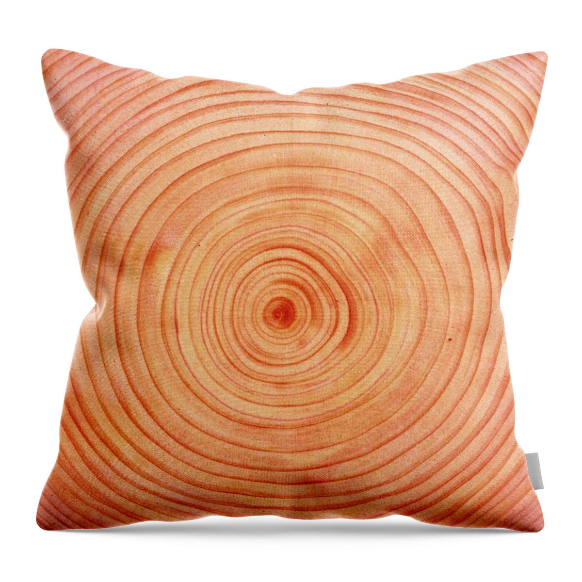 Wood Throw Pillow featuring the photograph Photography Of Annual Rings Of Japanese by Daj