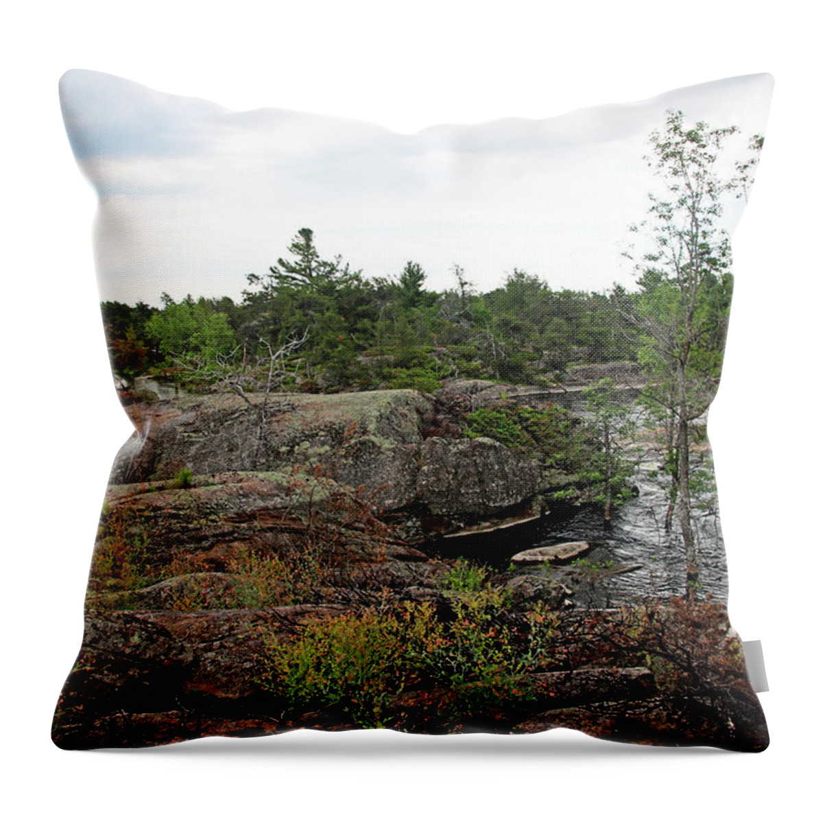 Pickerel River Throw Pillow featuring the photograph Pickerel River Outlet Top Of The Falls by Debbie Oppermann