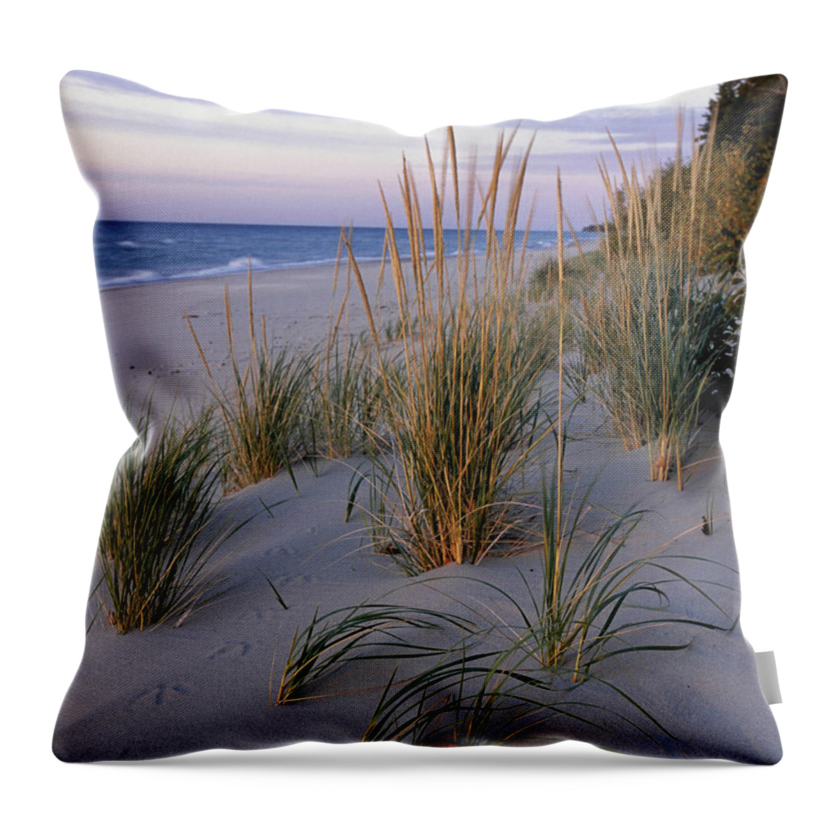 Tranquility Throw Pillow featuring the photograph Pictured Rocks National Lakeshore. Lake by Ed Reschke