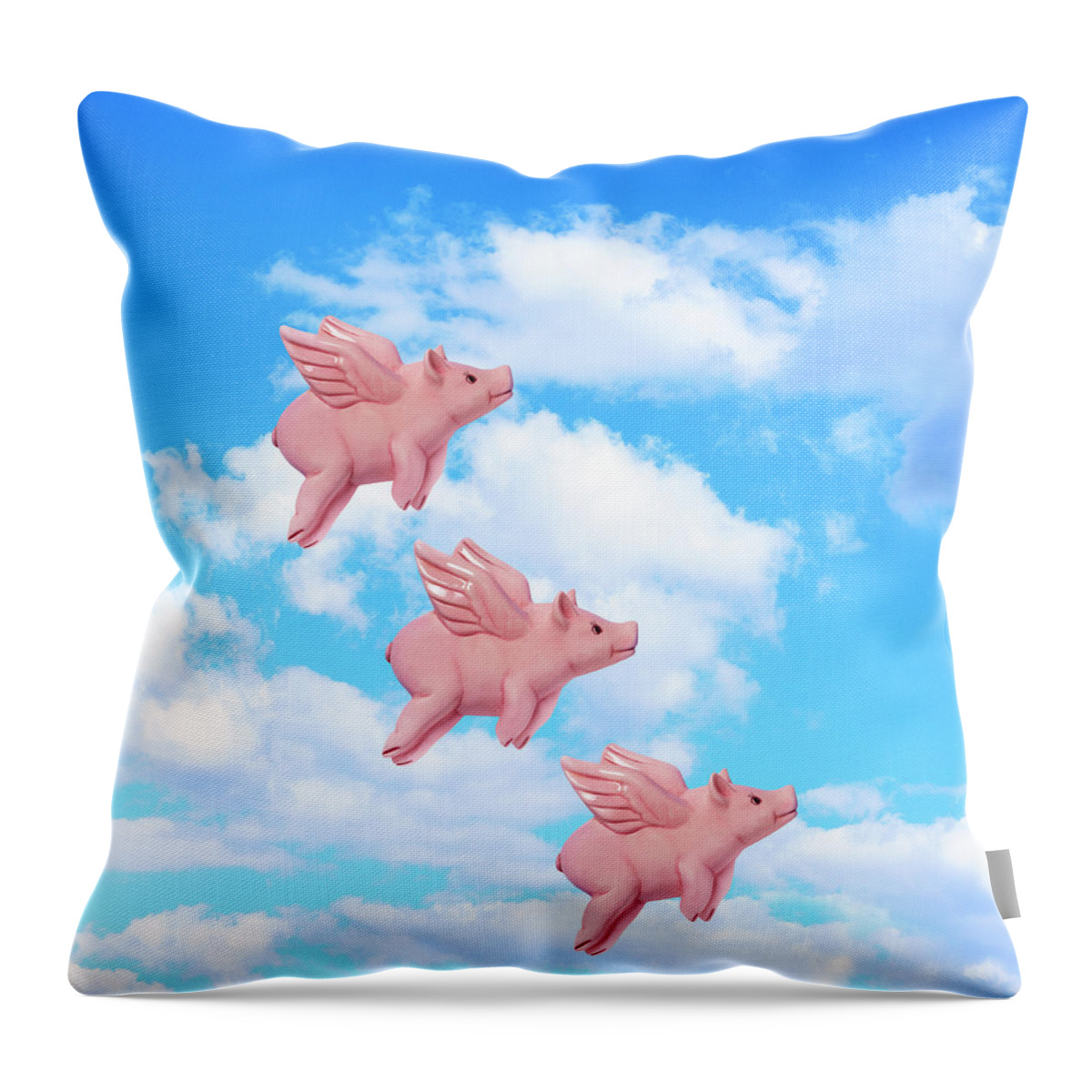 Disbelief Throw Pillow featuring the photograph Pigs Might Fly by Peter Dazeley