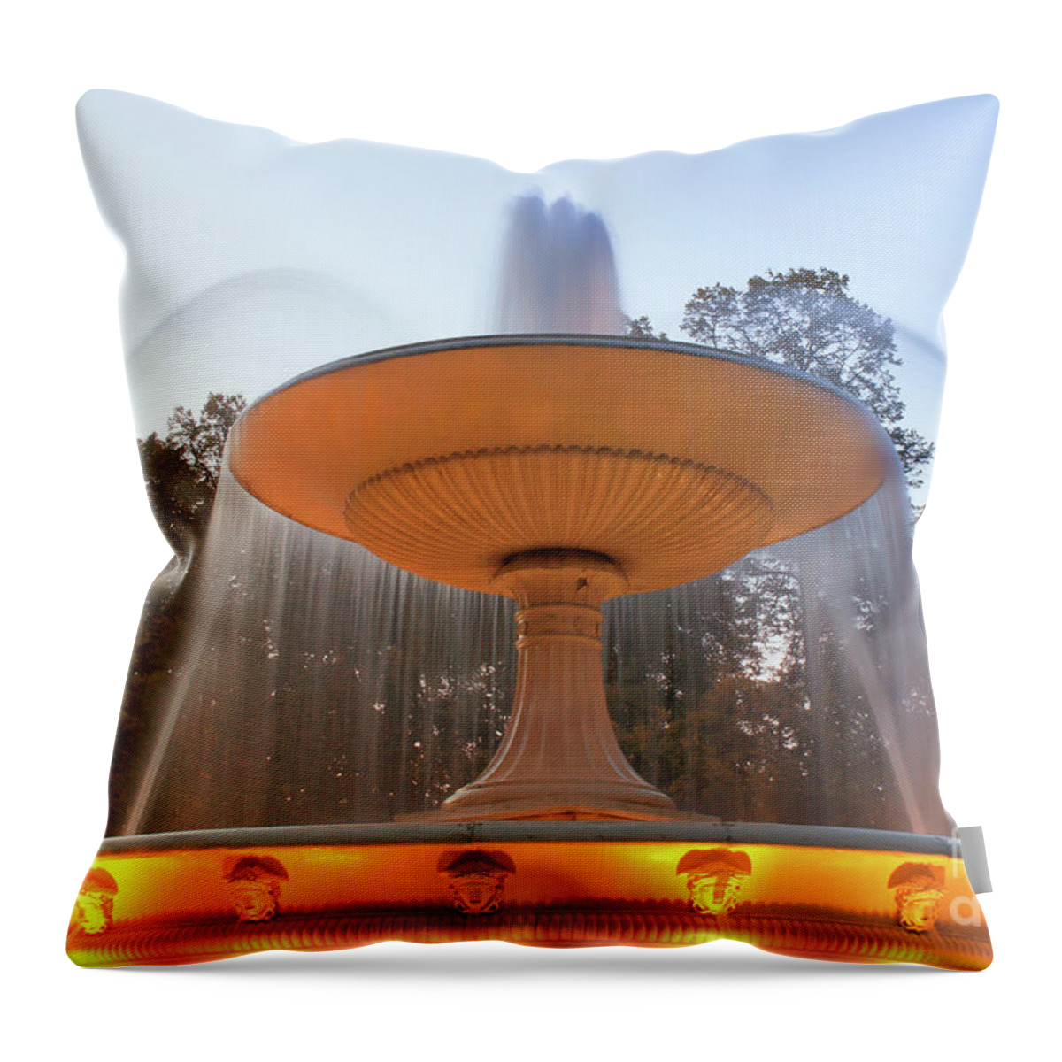 H2o Throw Pillow featuring the photograph Pilsudski Sqaure Fountain by Tom Gowanlock
