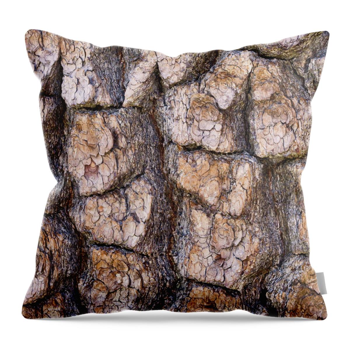 Natural Pattern Throw Pillow featuring the photograph Pine Bark Closeup by Donald E. Hall