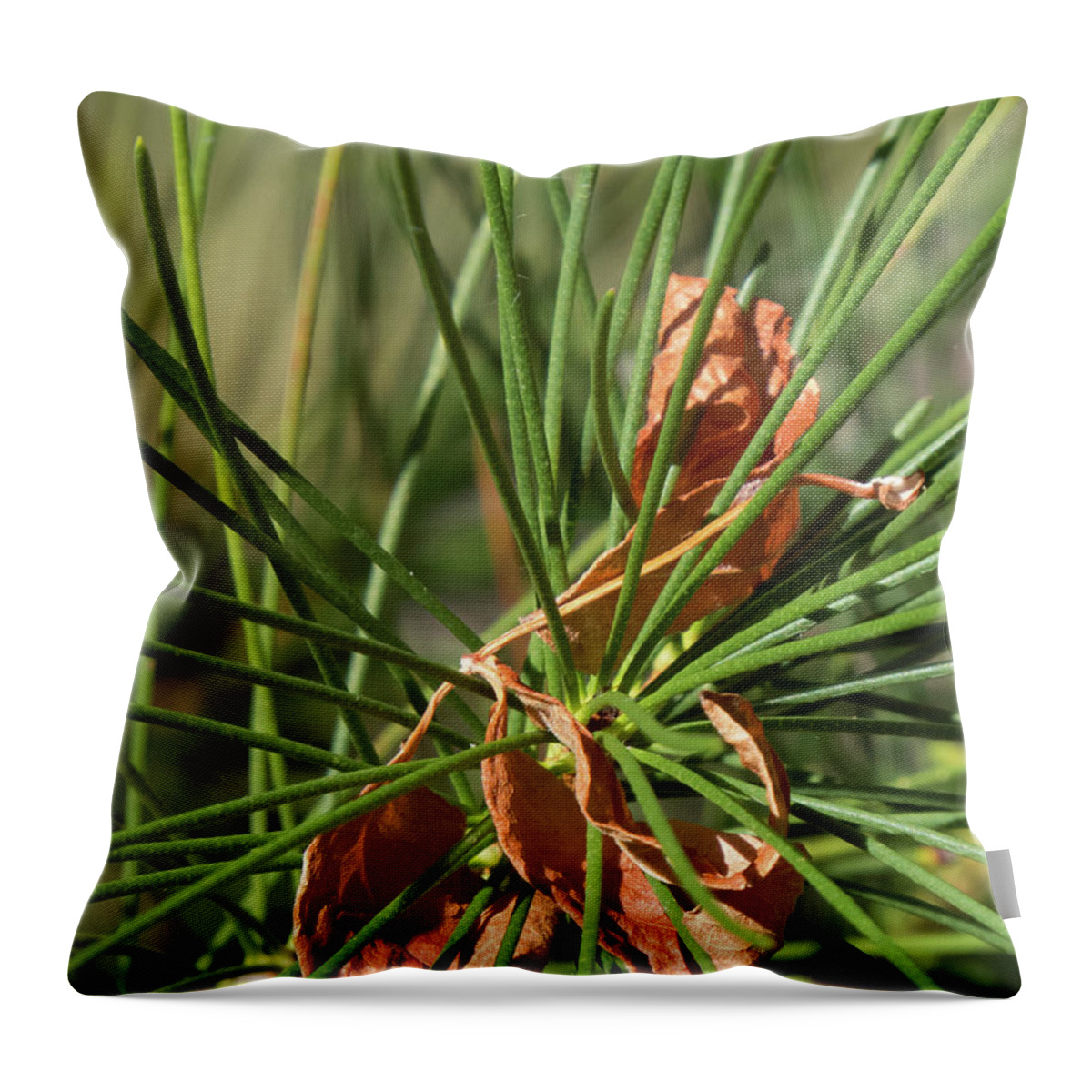 Green Throw Pillow featuring the photograph Pine Needles 1 by Christy Garavetto