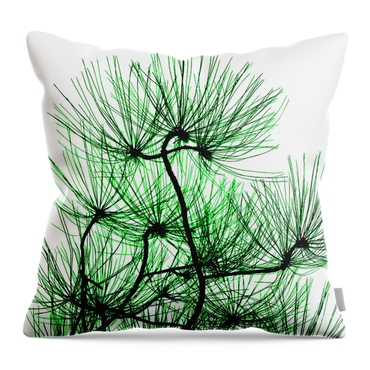 Top Artist Throw Pillow featuring the photograph Pine Needles in Black and Green by Norman Gabitzsch