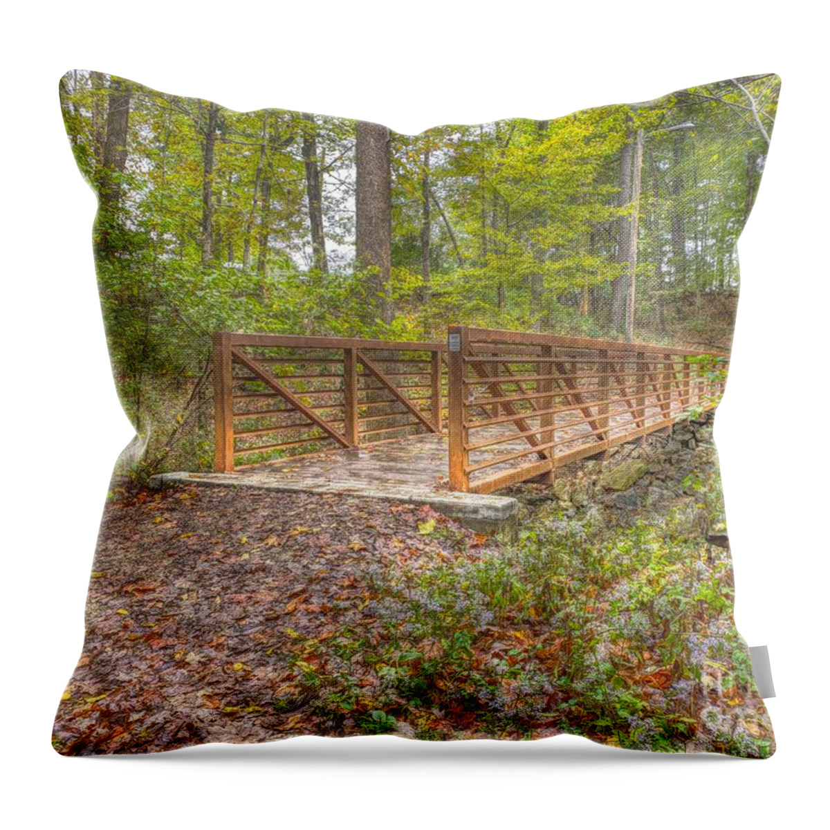 Nature Throw Pillow featuring the photograph Pine Quarry Park Bridge by Jeremy Lankford