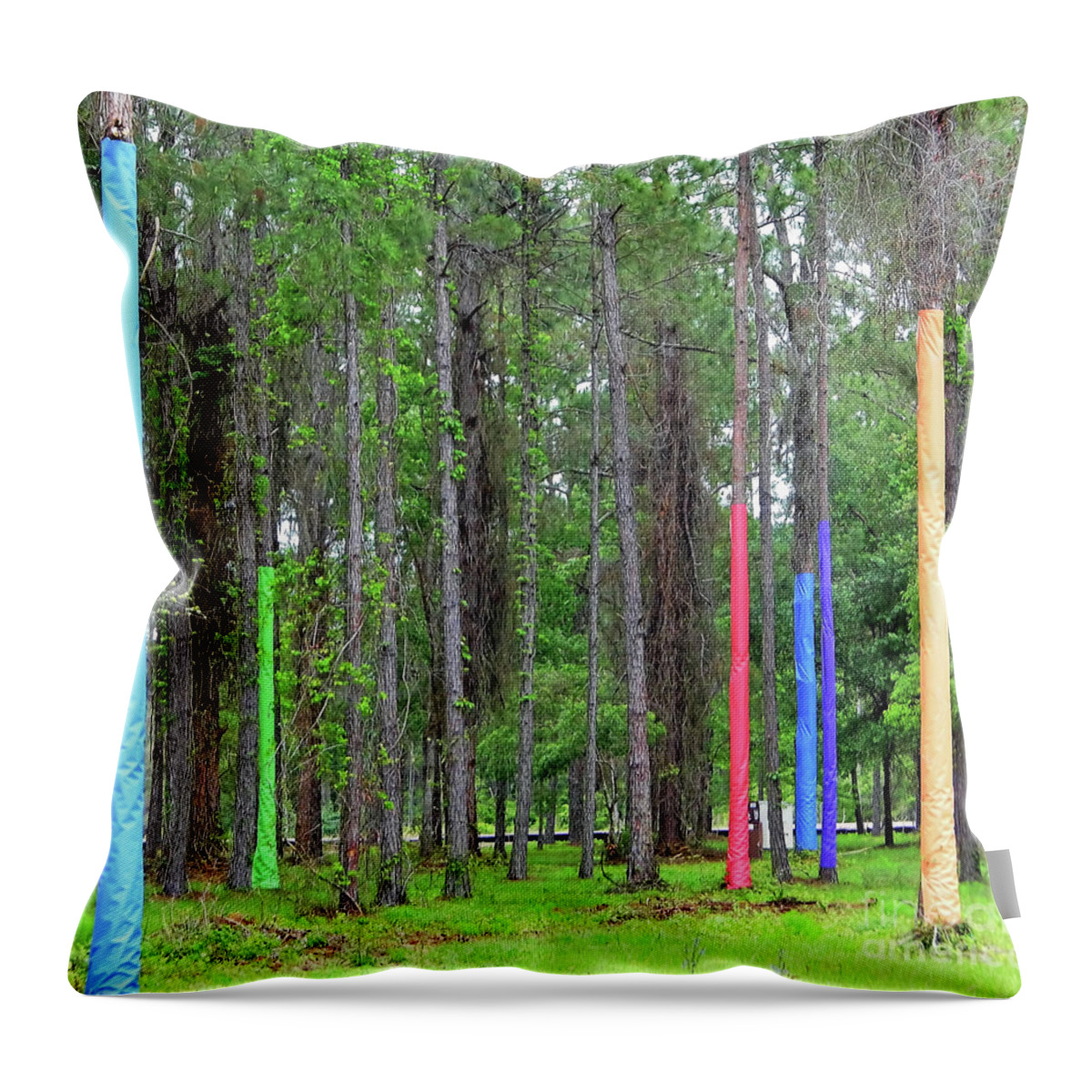 Pine Trees Throw Pillow featuring the photograph Pine Trees Wrapped In Color by D Hackett