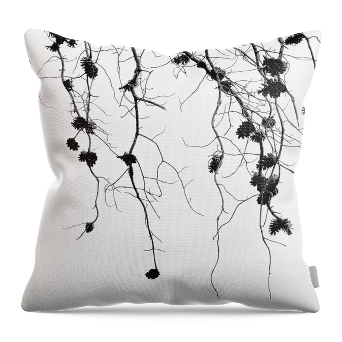 B&w Throw Pillow featuring the photograph Pinecones by Karen Smale