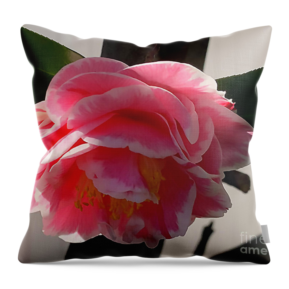 Floral Throw Pillow featuring the digital art Pink And White Camellia Bloom by Kirt Tisdale