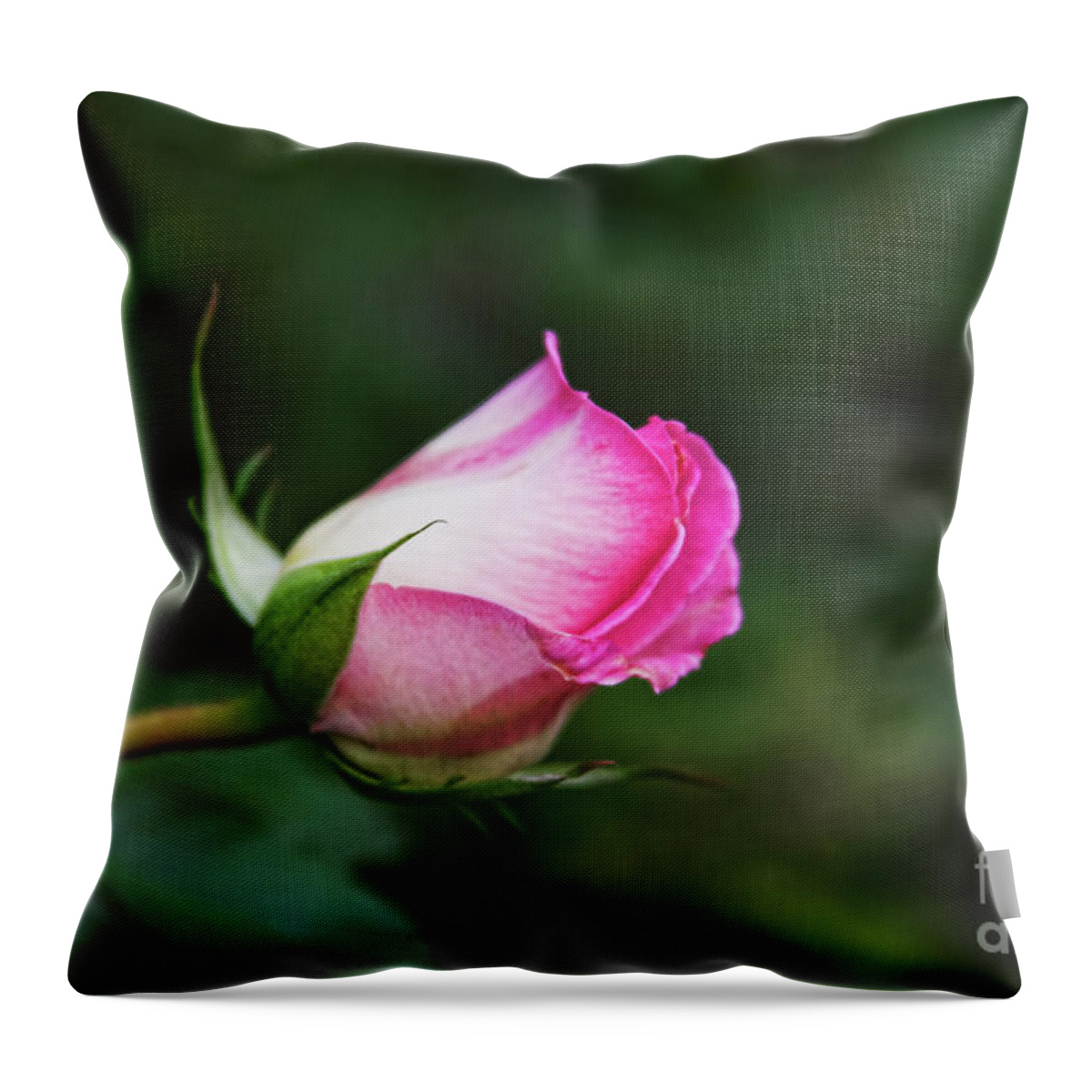 Flower Throw Pillow featuring the photograph Pink and White by Joan Bertucci