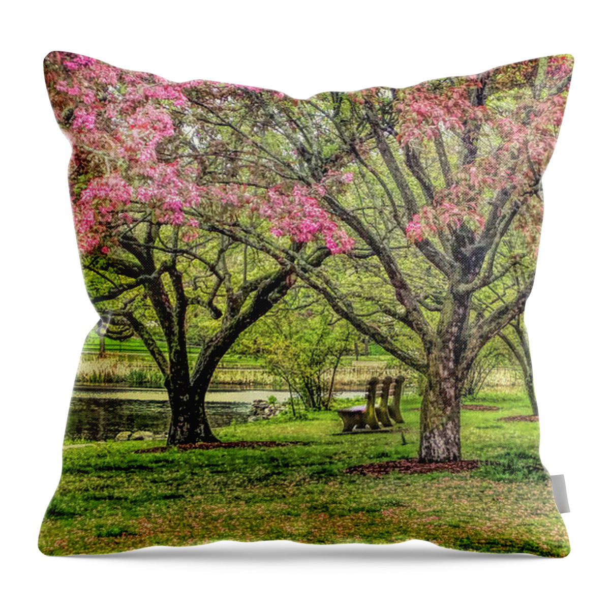 Bruce Park Throw Pillow featuring the photograph Pink blossoms in Greenwich Connecticut by Cordia Murphy