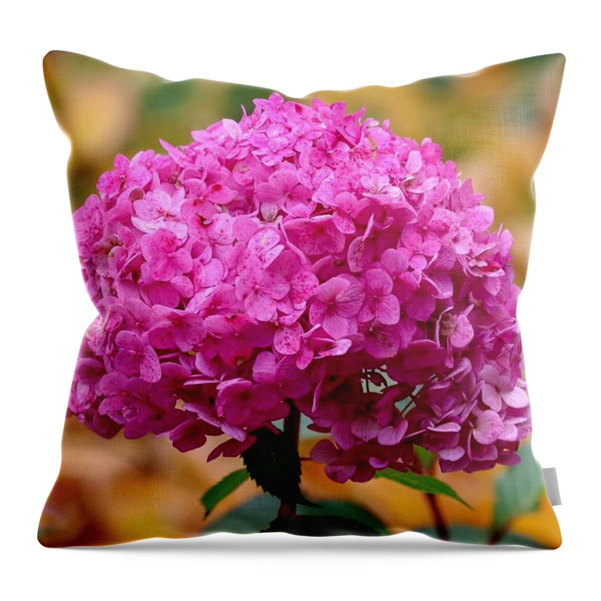 Close-up Throw Pillow featuring the photograph Pink Bouquet by Susan Rydberg