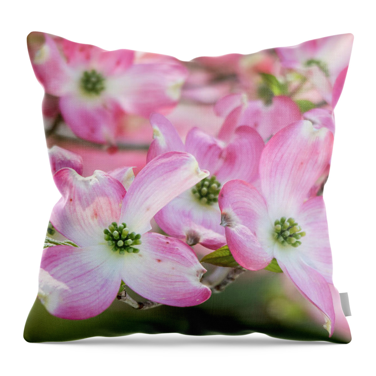 Pink Throw Pillow featuring the photograph Pink Dogwood Beauty by Mary Ann Artz