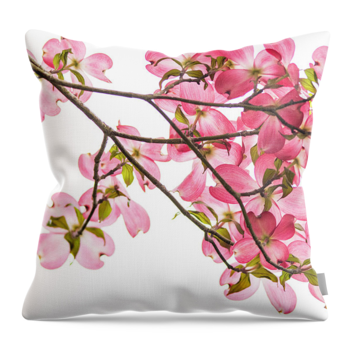 Pink Throw Pillow featuring the photograph Pink Dogwoods on White by Mary Ann Artz