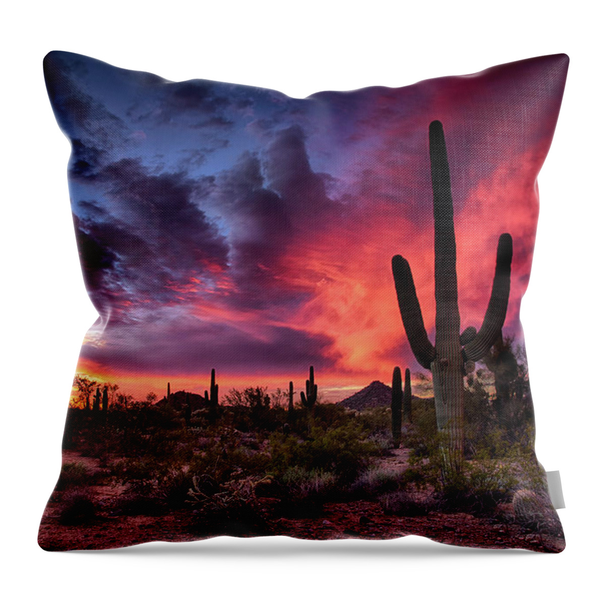 Saguaro Sunset Throw Pillow featuring the photograph Pink Fiery Sunset Skies by Saija Lehtonen